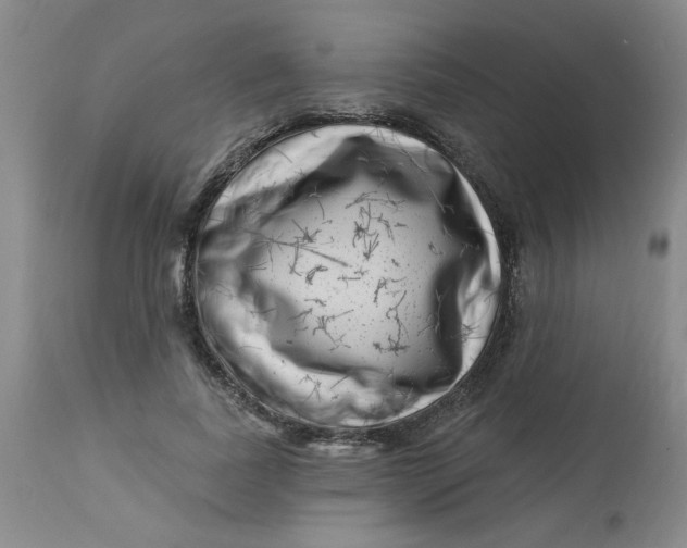 X0000113160739200909251351