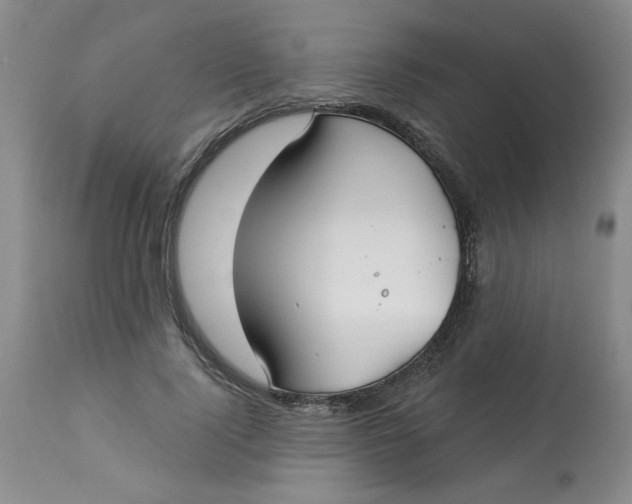 X0000113160740200909251351