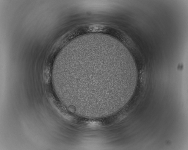 X0000113160741200909251351