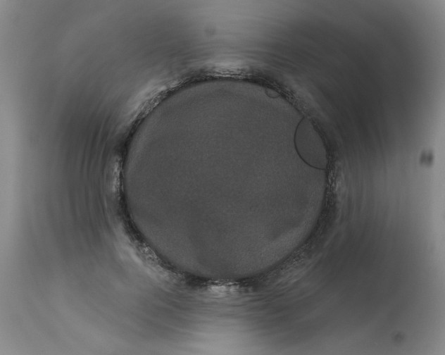 X0000113160744200909251351