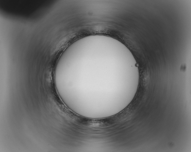 X0000113160746200909251351