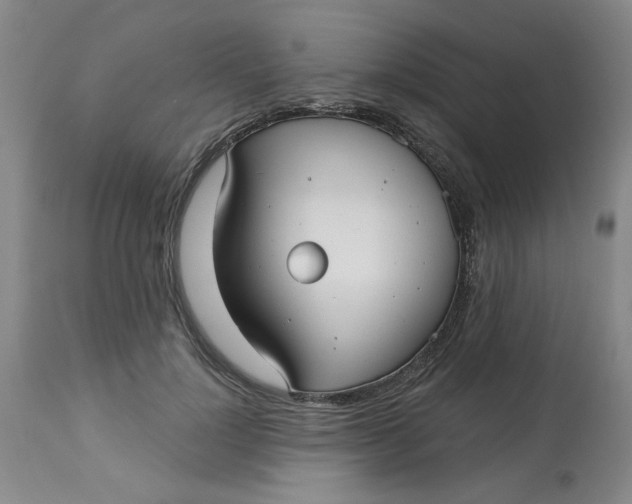 X0000113160748200909251351