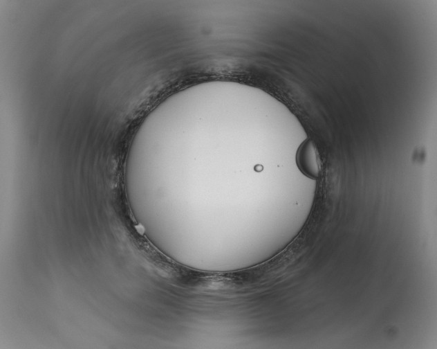 X0000113160750200909251351