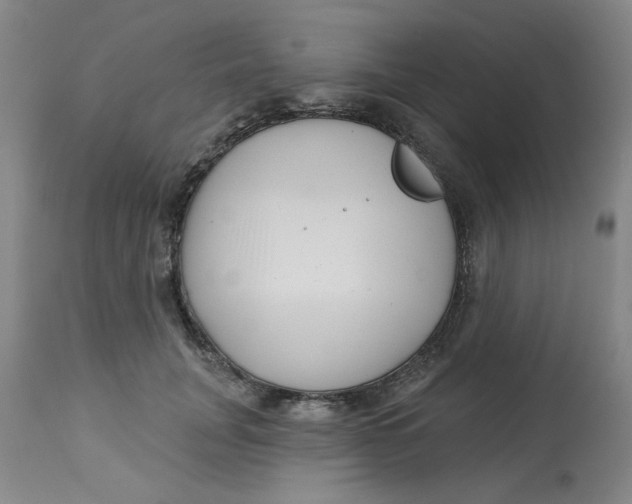 X0000113160751200909251351