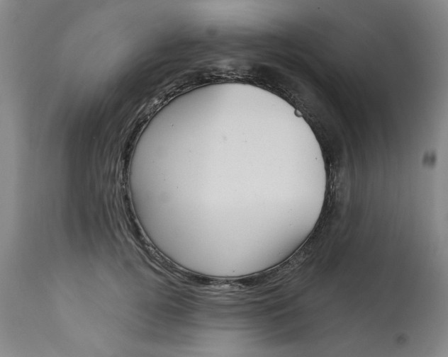 X0000113160752200909251351