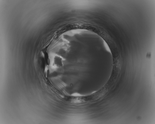 X0000113160754200909251351