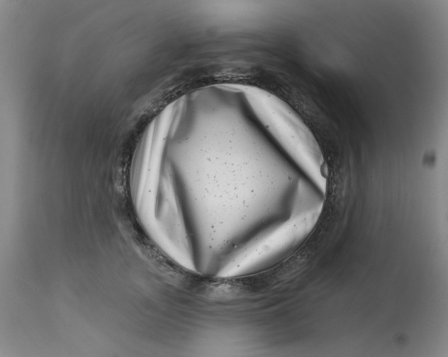 X0000113160755200909251351