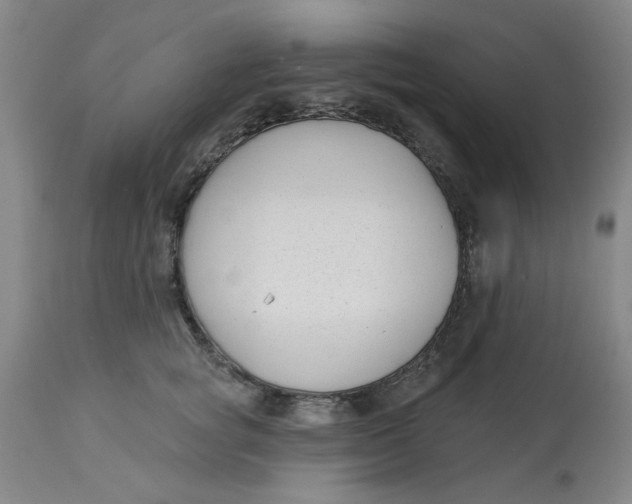 X0000113160757200909251351