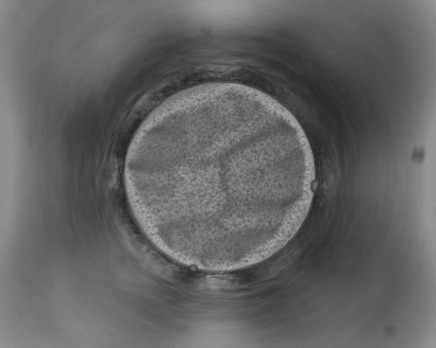 X0000113160758200909251351