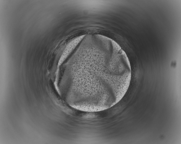 X0000113160759200909251351