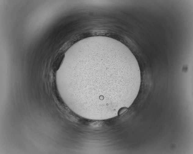 X0000113160761200909251351