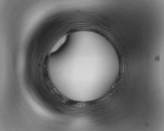 X0000113160764200909251352