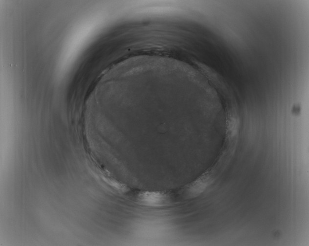 X0000113160766200909251352