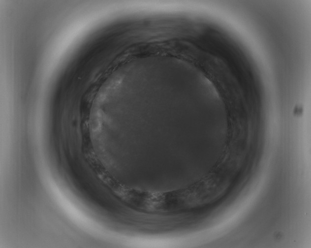 X0000113160767200909251352