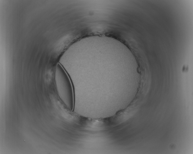 X0000113160768200909251352