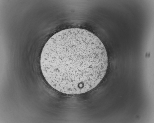 X0000113160769200909251351