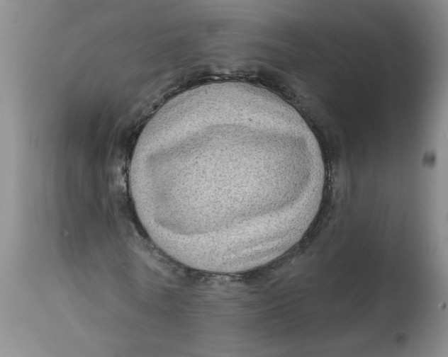 X0000113160770200909251351