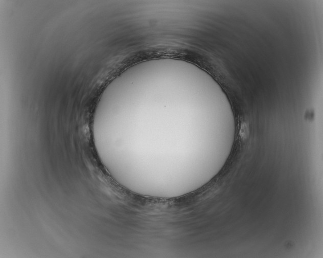 X0000113160771200909251351