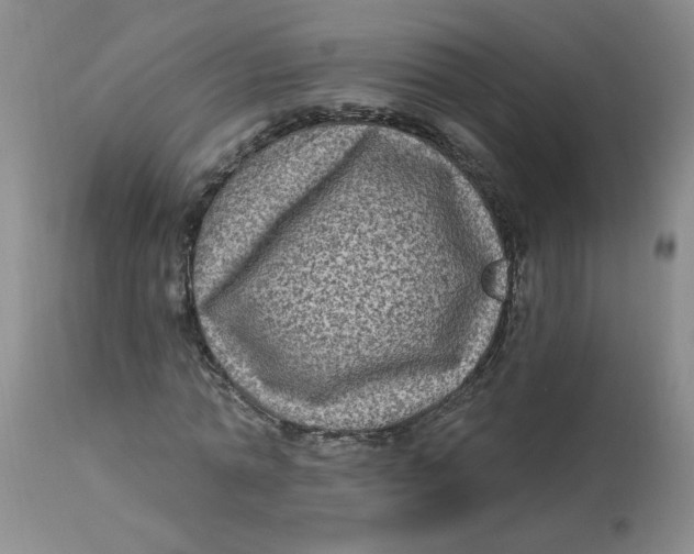 X0000113160774200909251351