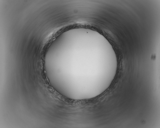 X0000113160776200909251351