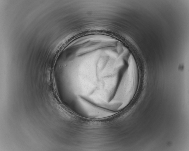 X0000113160777200909251351