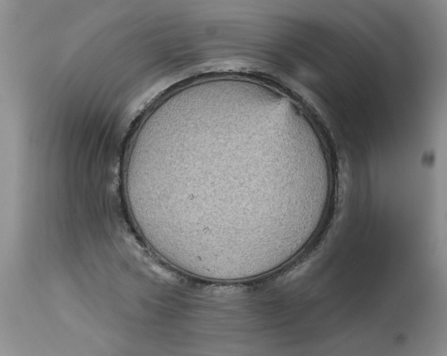 X0000113160778200909251351