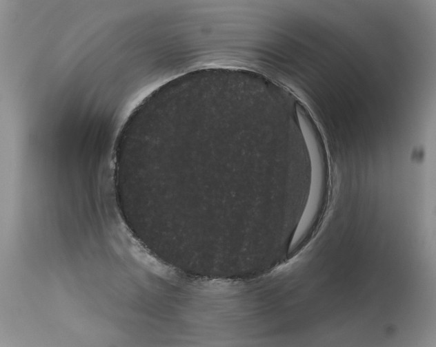 X0000113160779200909251351