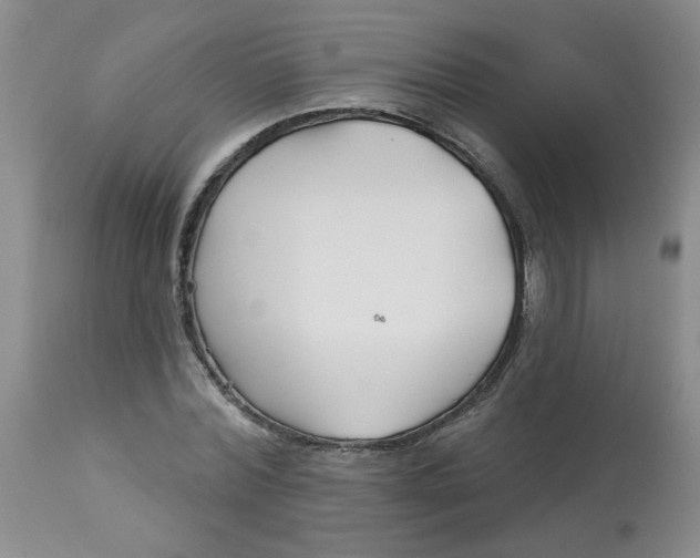 X0000113160780200909251351