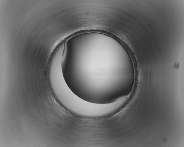 X0000113160781200909251351