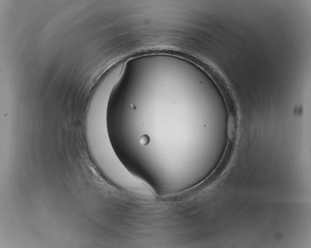 X0000113160785200909251351