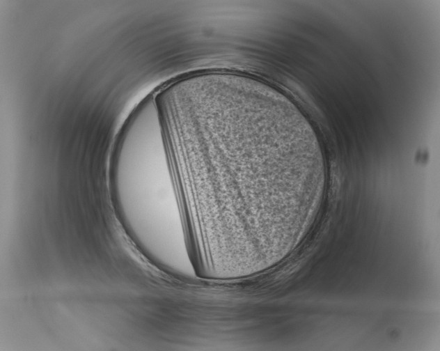 X0000113160788200909251350