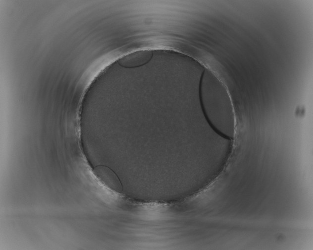 X0000113160789200909251350