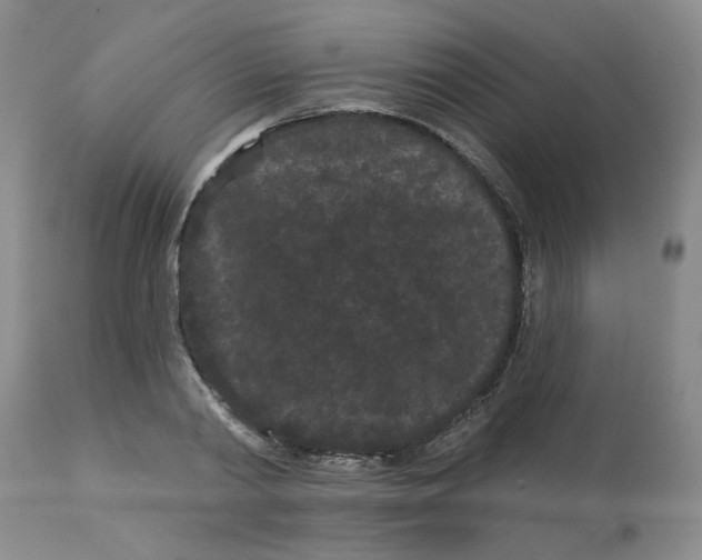 X0000113160790200909251350