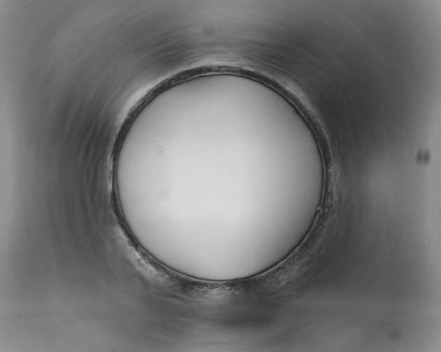 X0000113160791200909251350