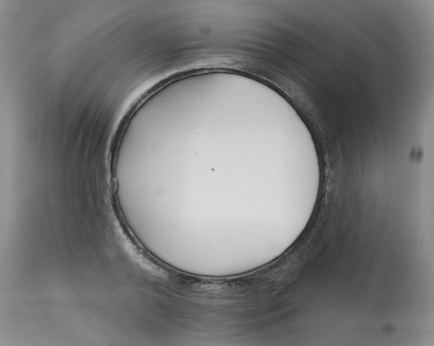 X0000113160792200909251350