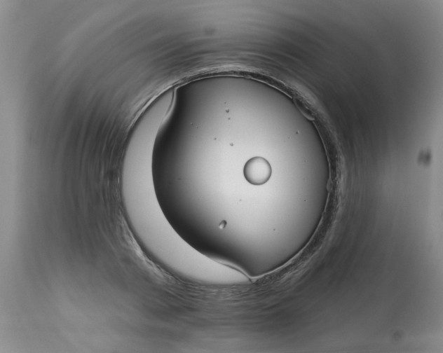 X0000113160793200909251350