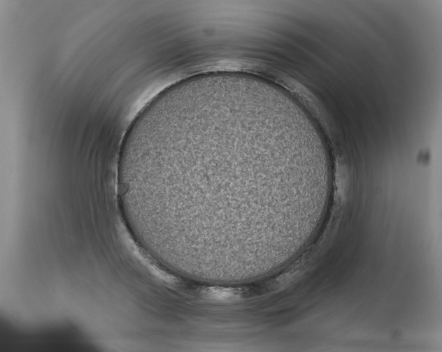 X0000113160794200909251350