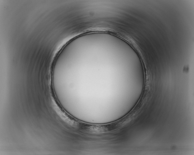 X0000113160795200909251350