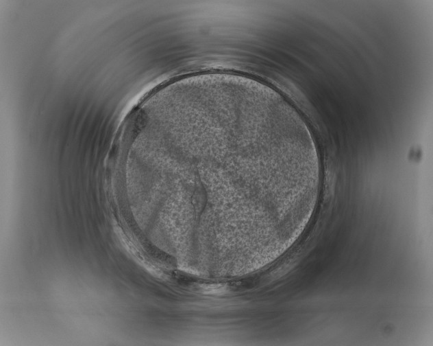 X0000113160798200909251350