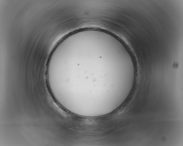 X0000113160799200909251350