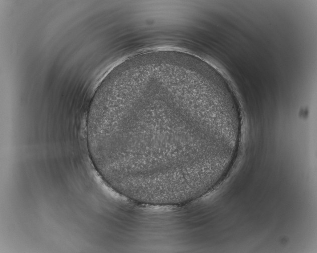 X0000113160801200909251350