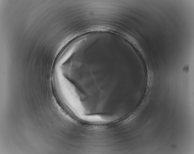 X0000113160802200909251350