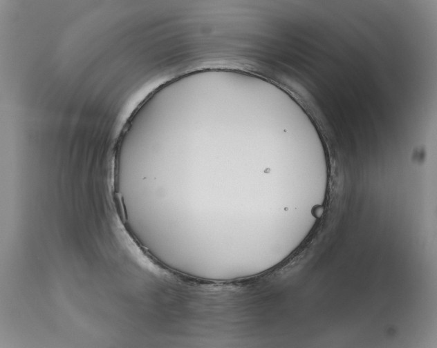 X0000113160804200909251350