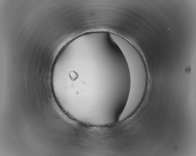 X0000113160805200909251350