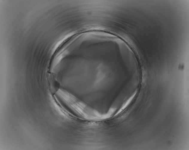 X0000113160806200909251350