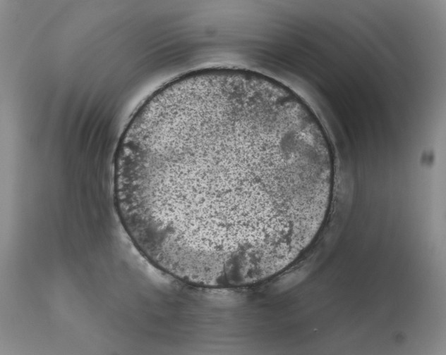 X0000113160807200909251350