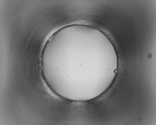 X0000113160808200909251350