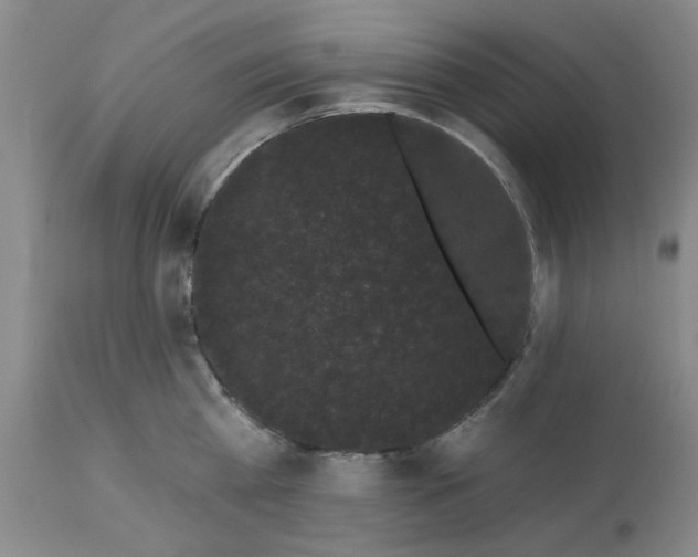 X0000113160809200909251350