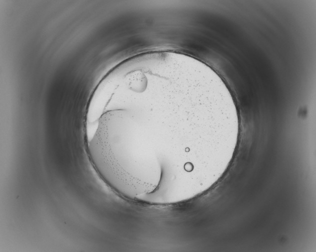 X0000113160810200909251350