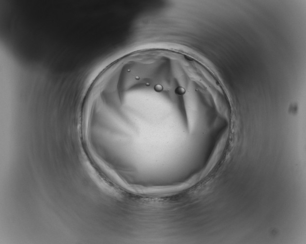 X0000113160811200909251350